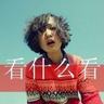 上海宠物美容知识